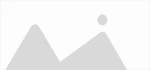 close button search